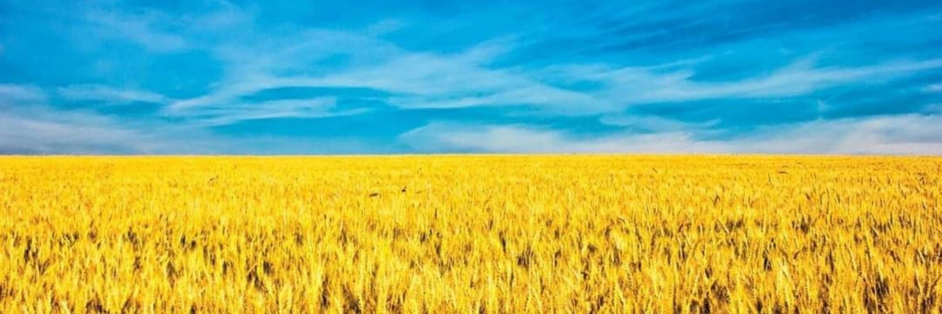 Šárka🇨🇿🇺🇦🇮🇱