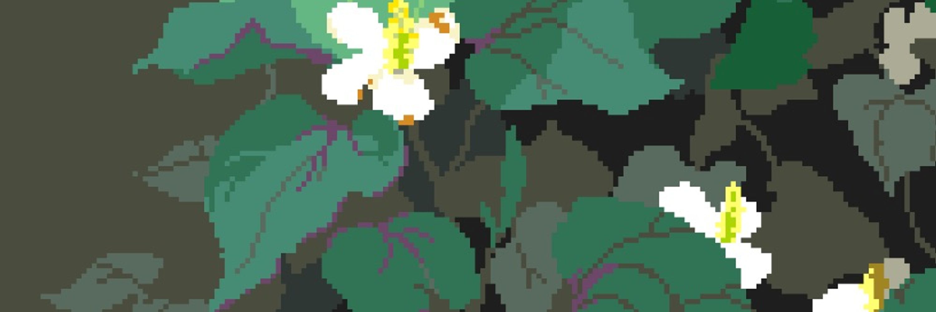 miyatoriOIL / 宮鳥オイル