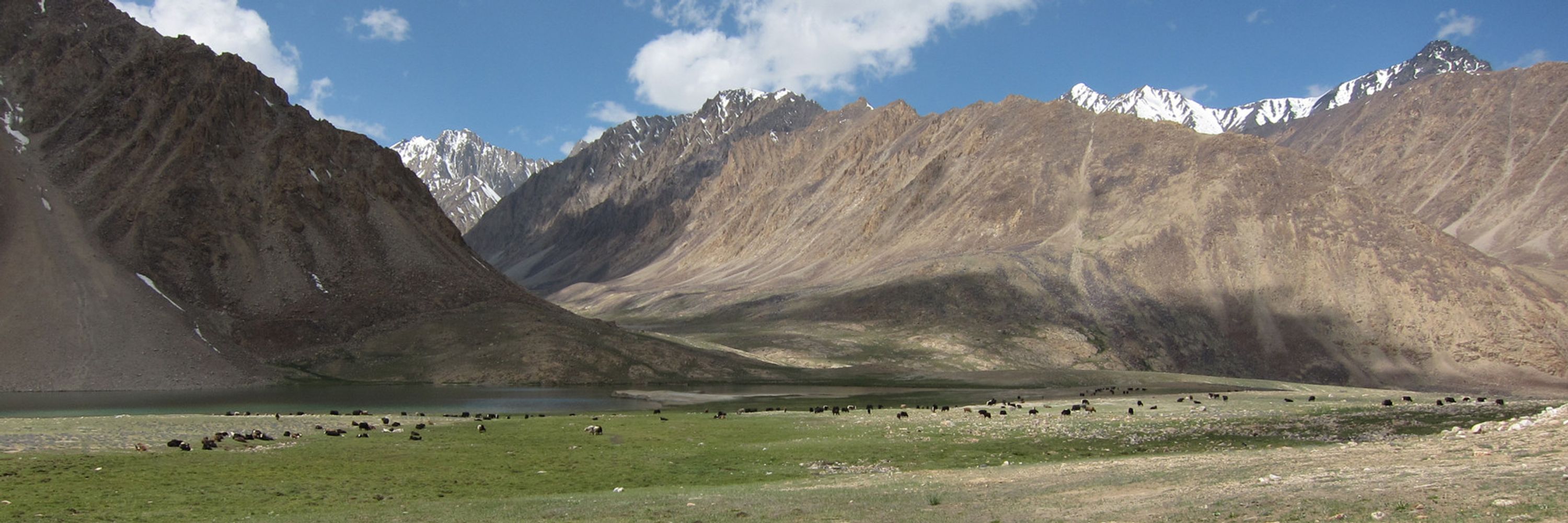 Mountain Research and Development