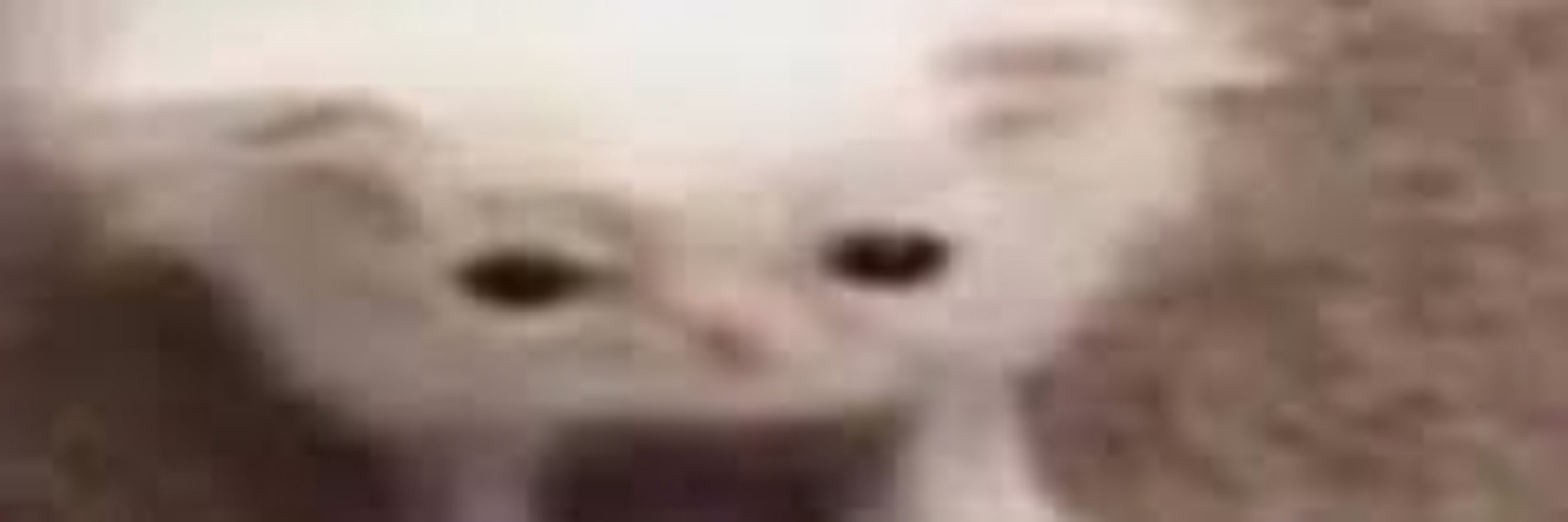 是Boss哦