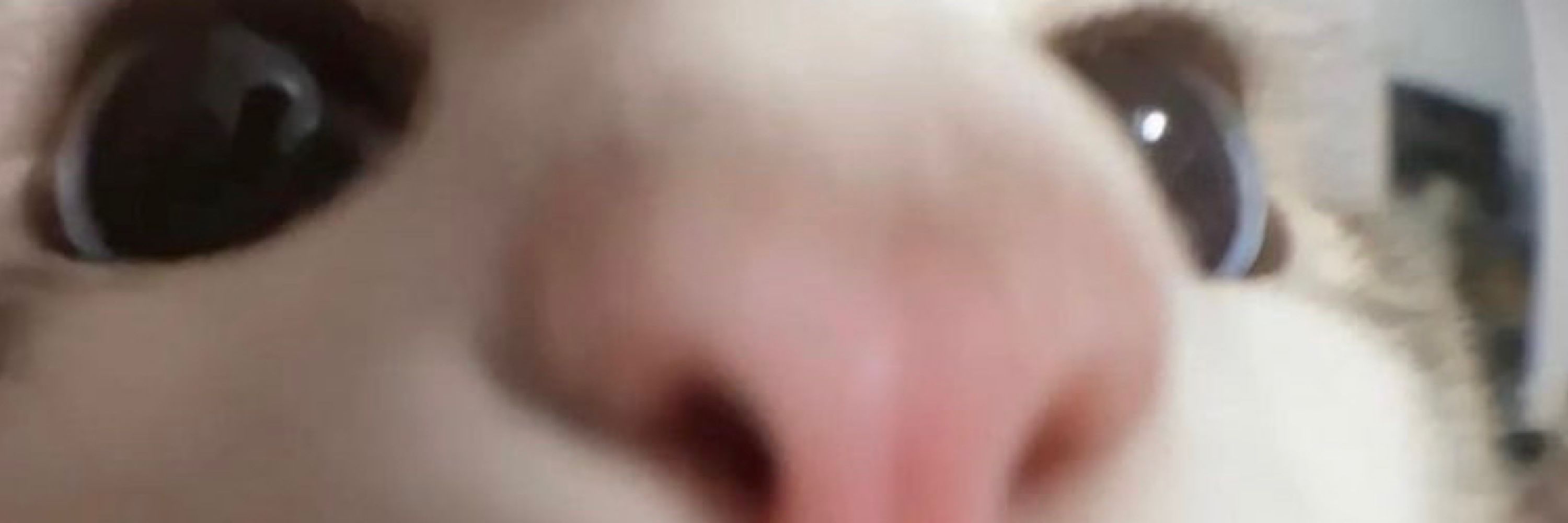 🔞Kay🔞