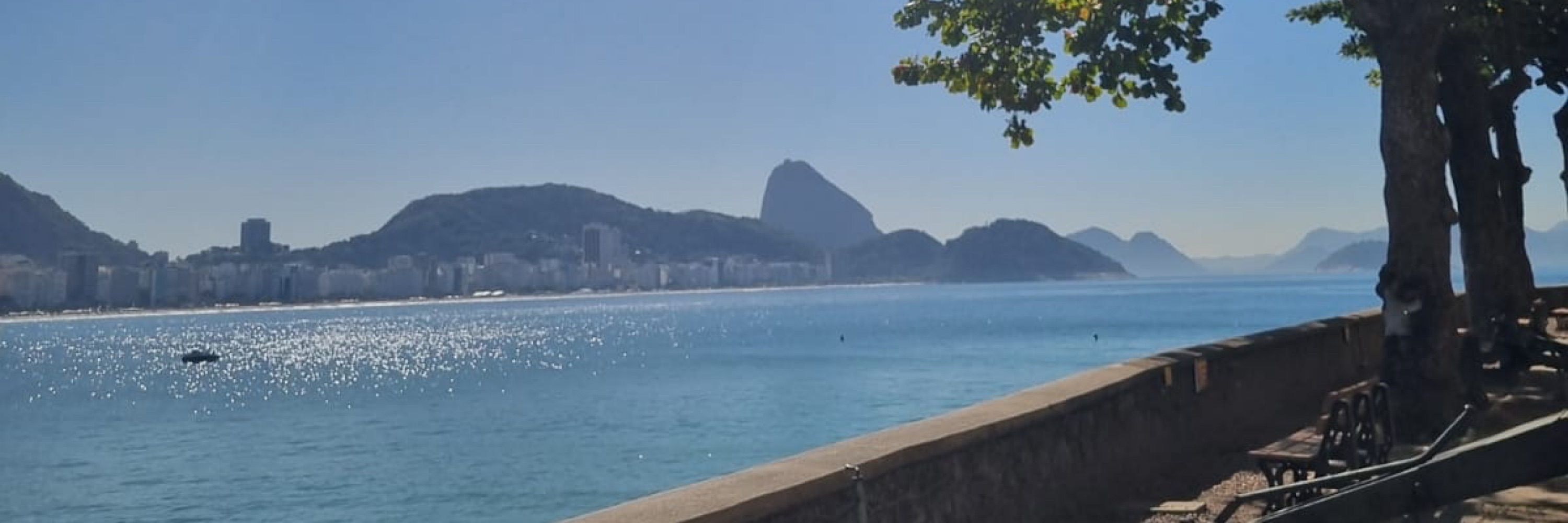 Cami Nasmineto