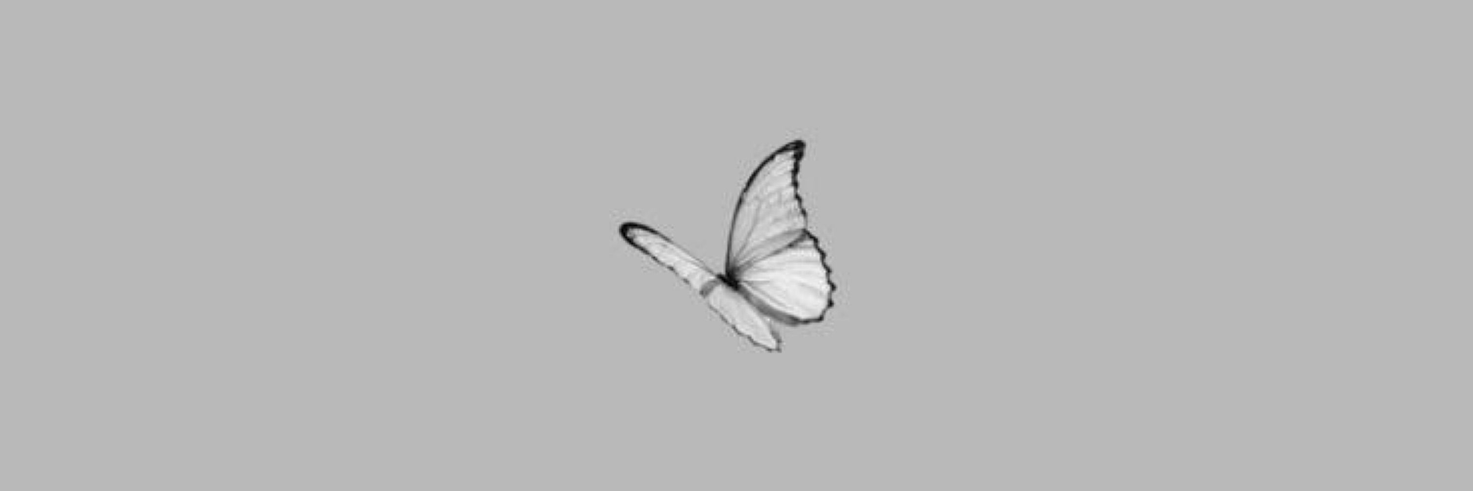 V. Carvalho