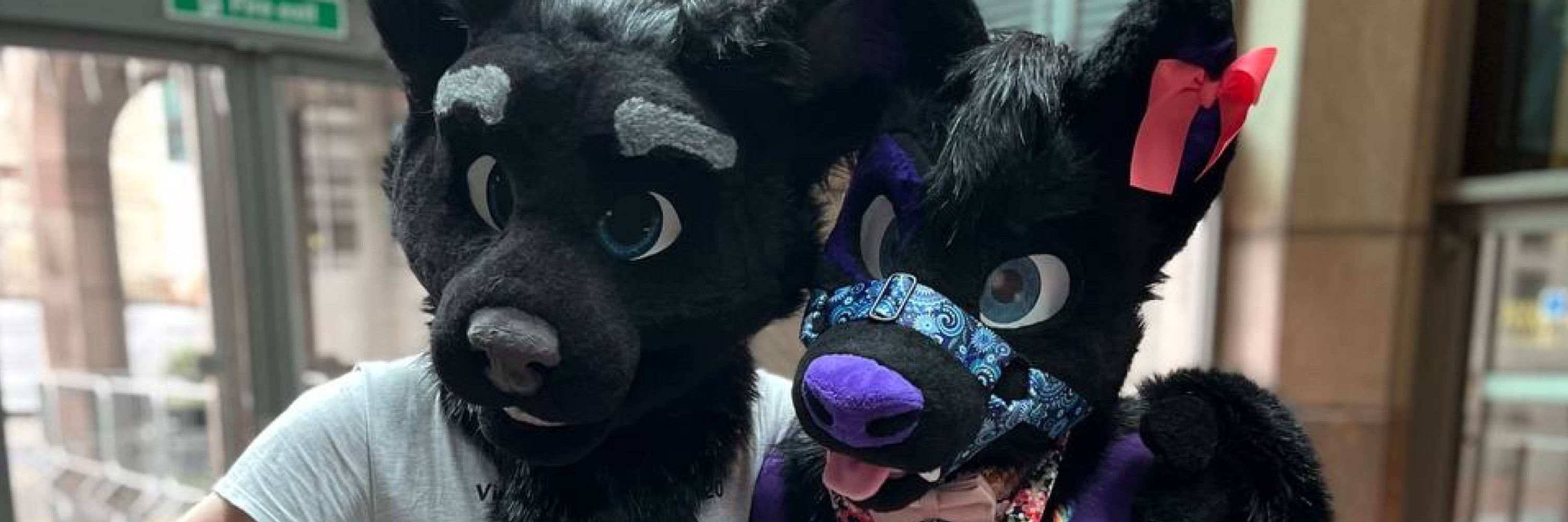 Tyler Wolfdog