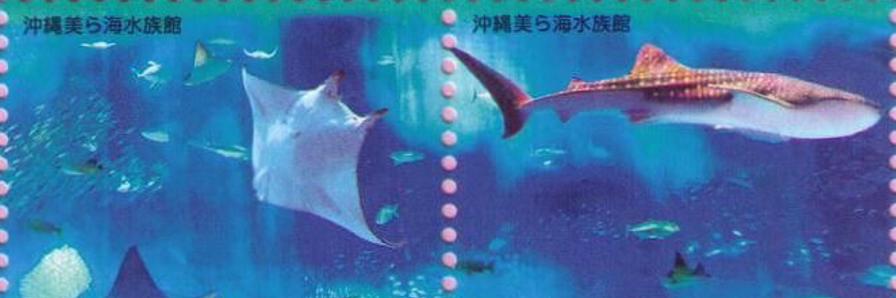 くコ:彡 Spookily Cryptid