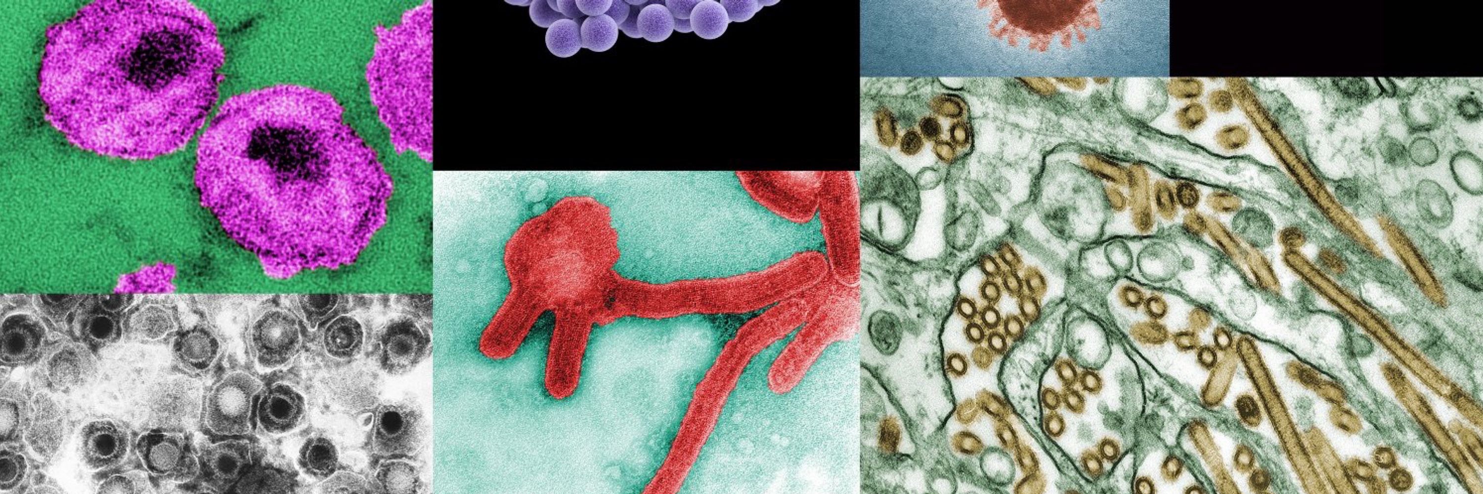 Infectious Disease Tracker