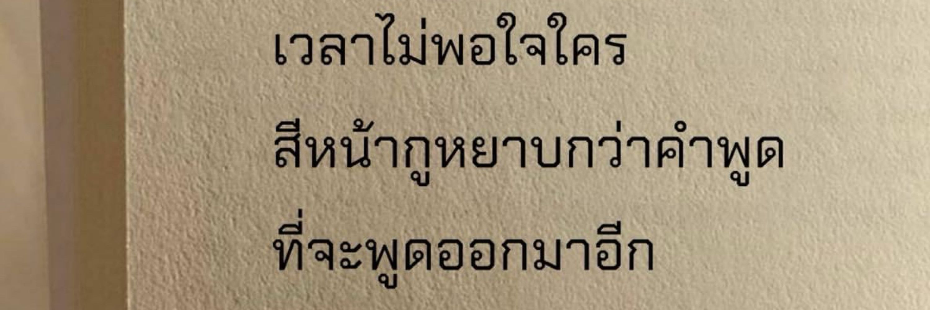 ไข่แมวมันฟู. 
