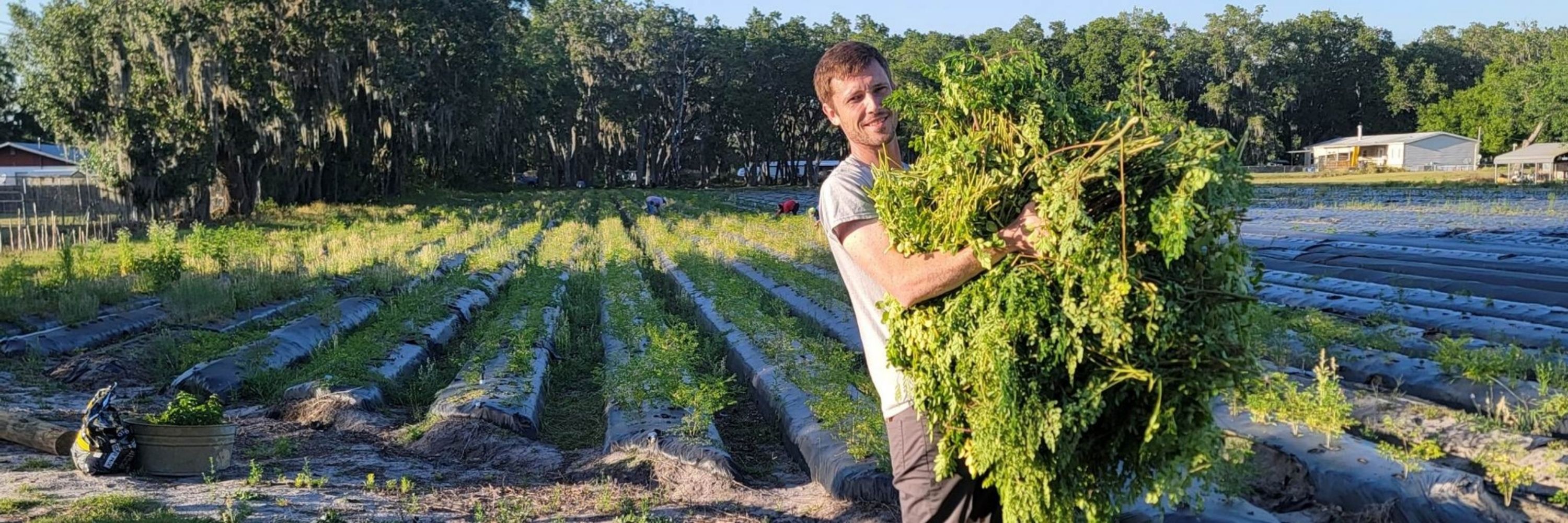 Moringa with Barry