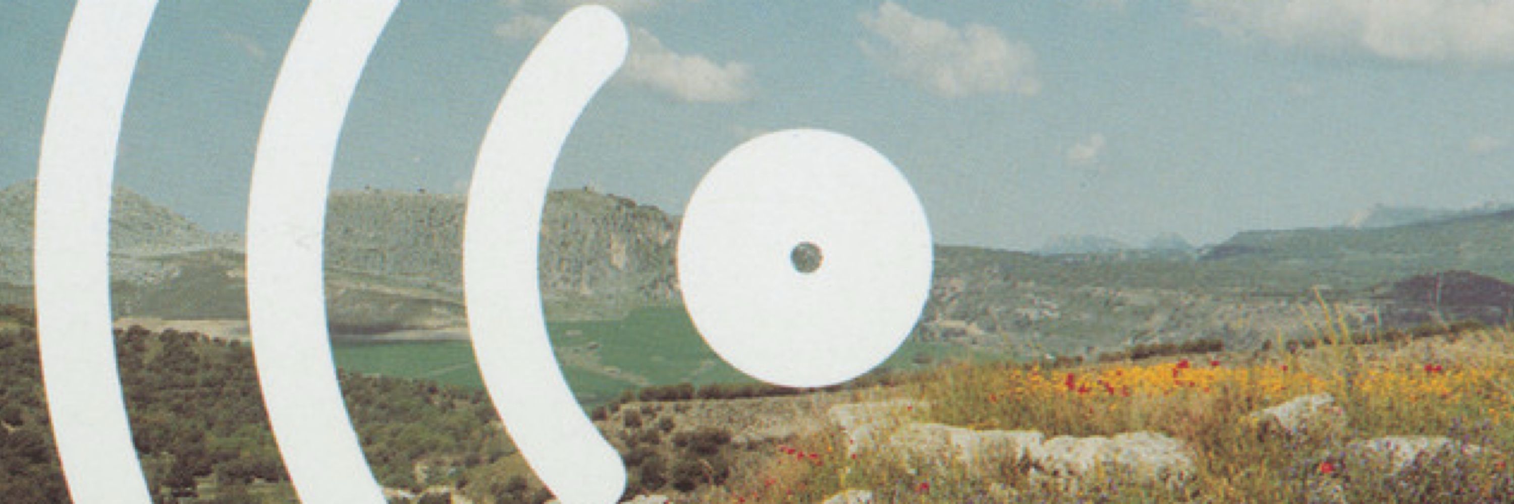 César