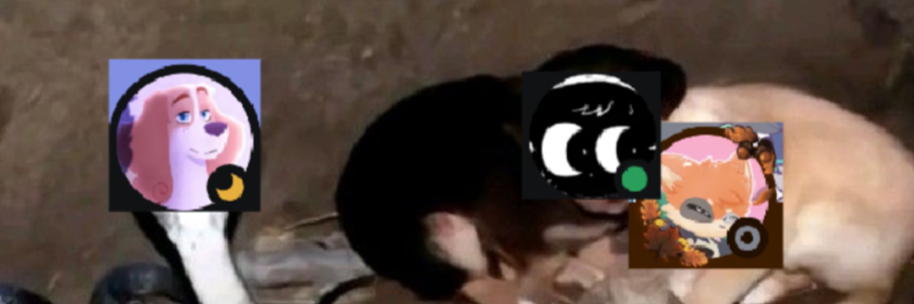 Feli94