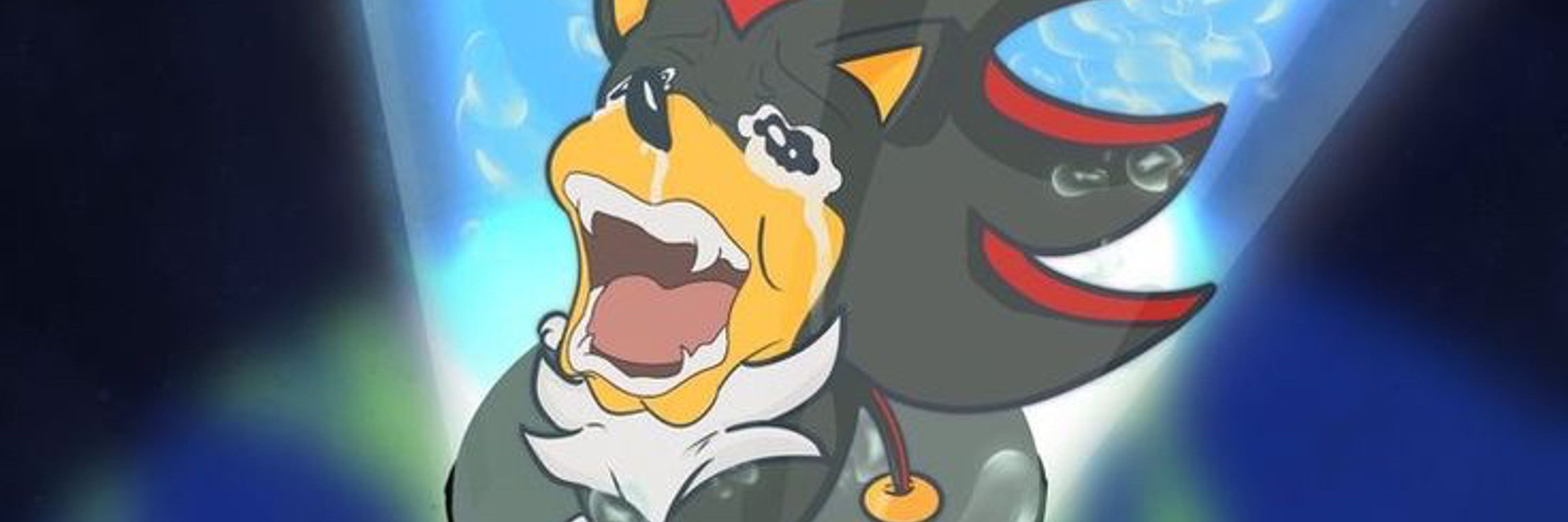 Donnie ika 