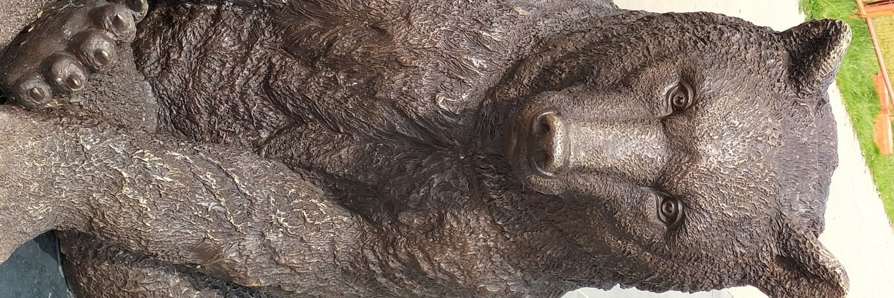 Beartabs
