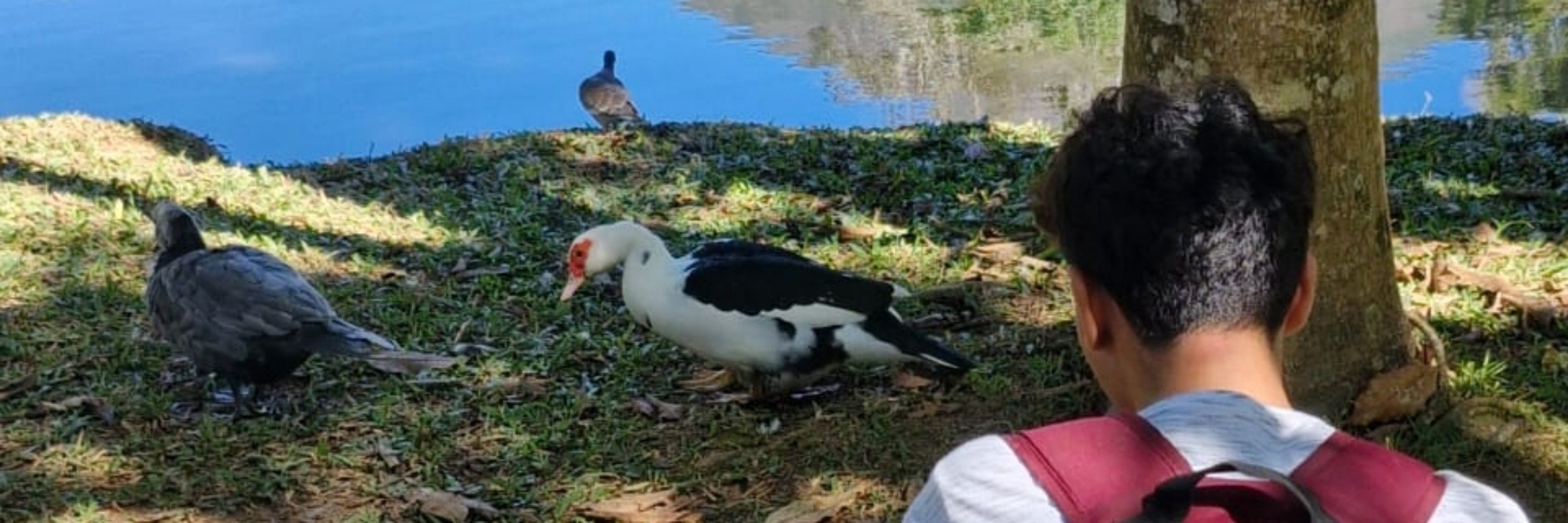 nthxvi 🦆