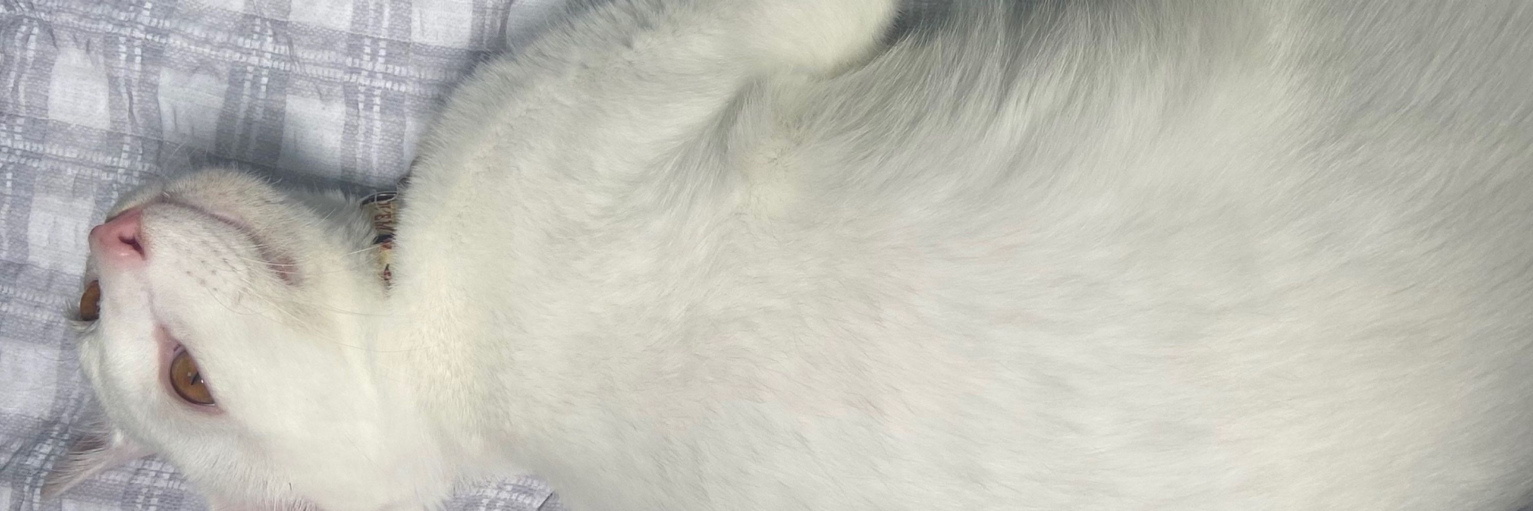 ❥
