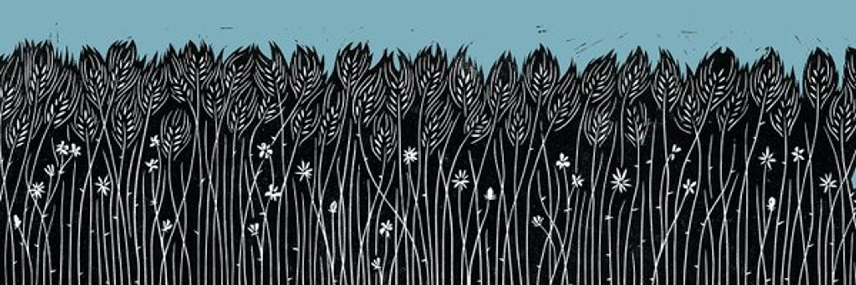 Plough Quarterly