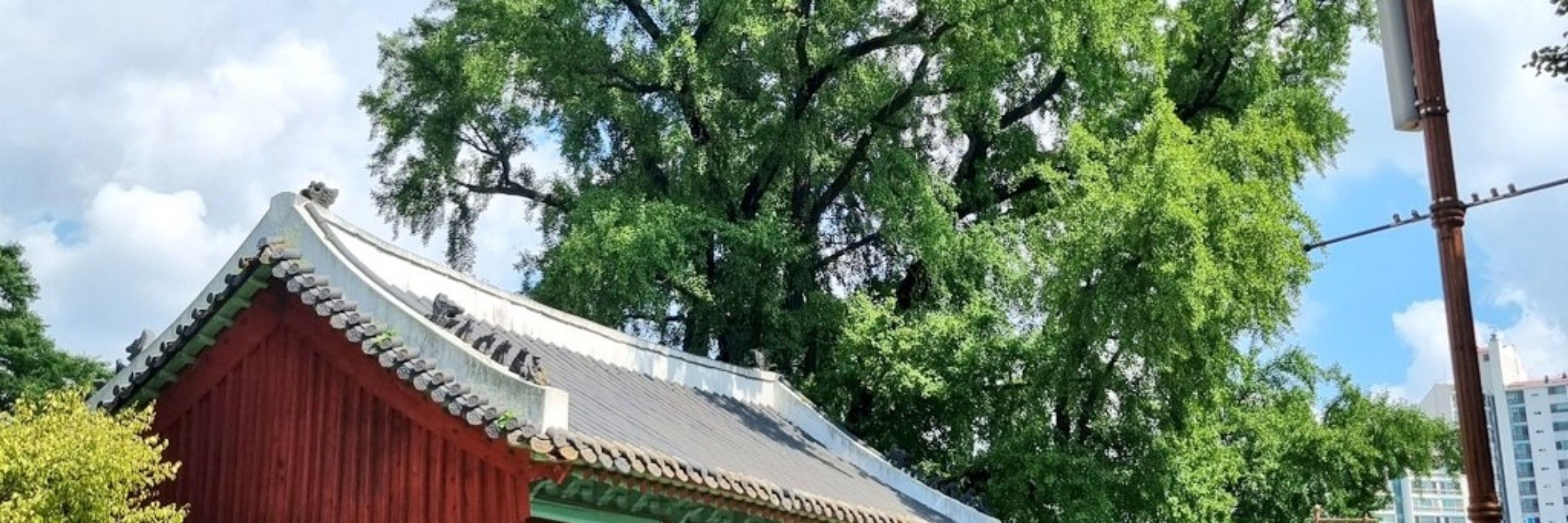 차댕