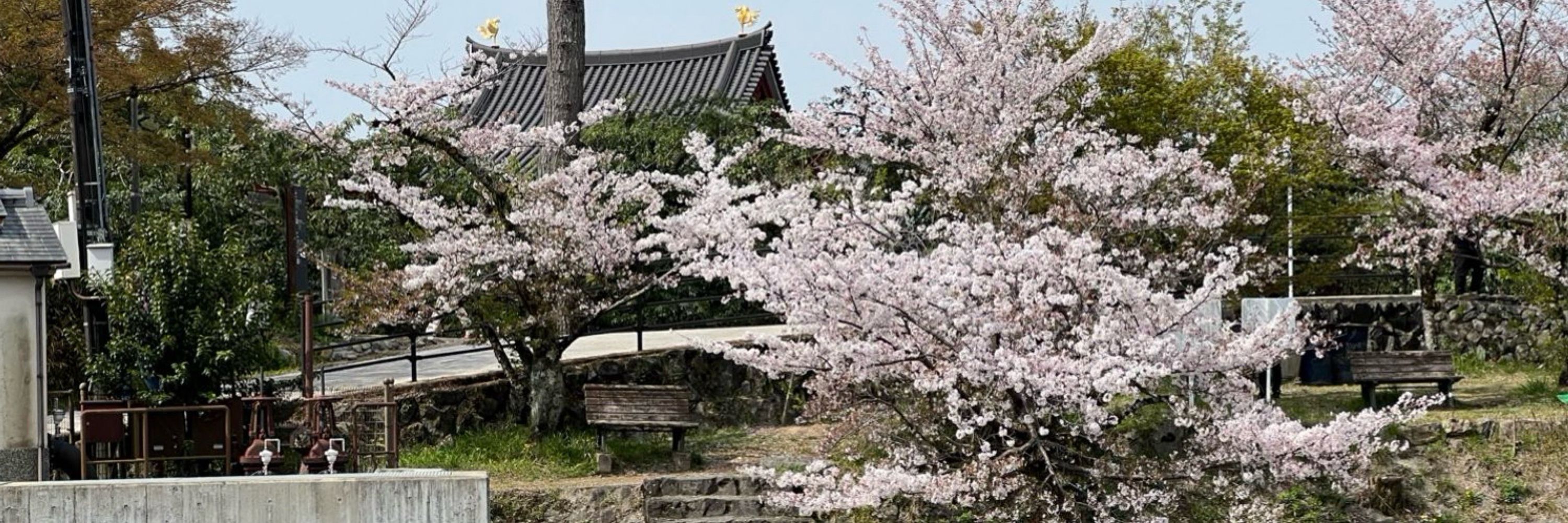 ひび