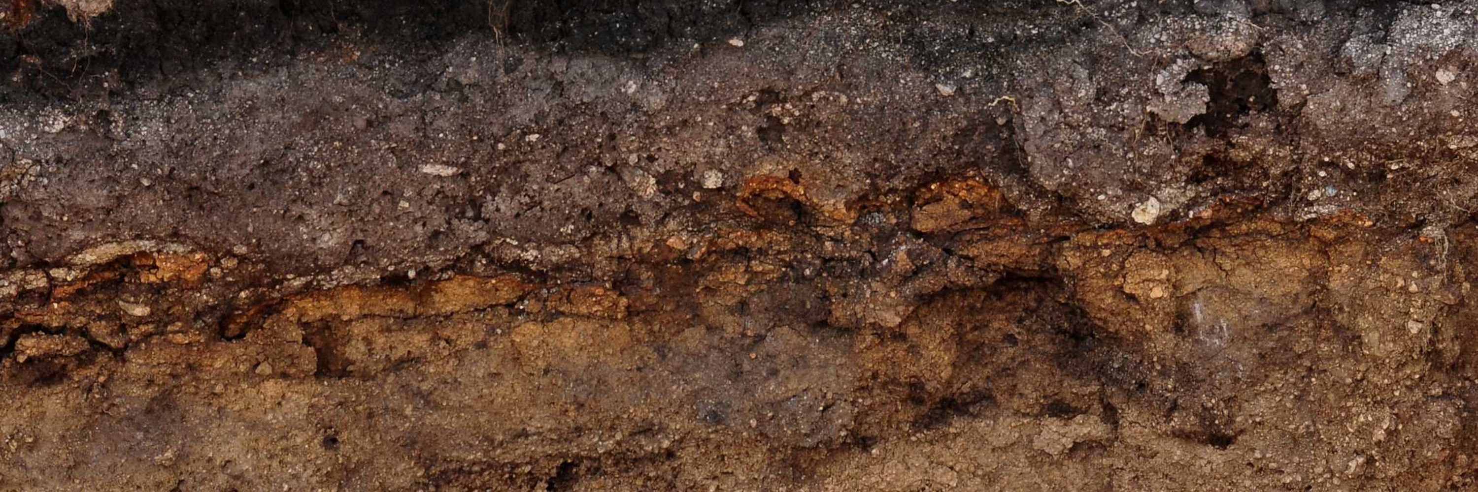 Soil Health BENCHMARKS