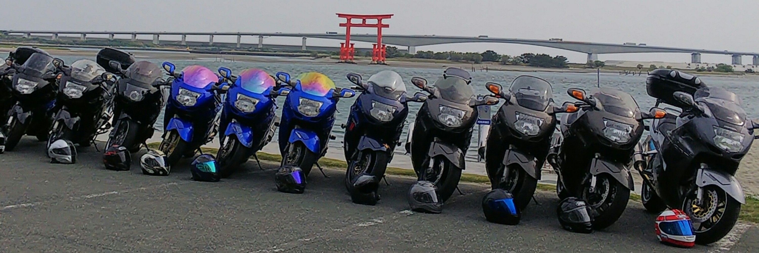 陰チタン