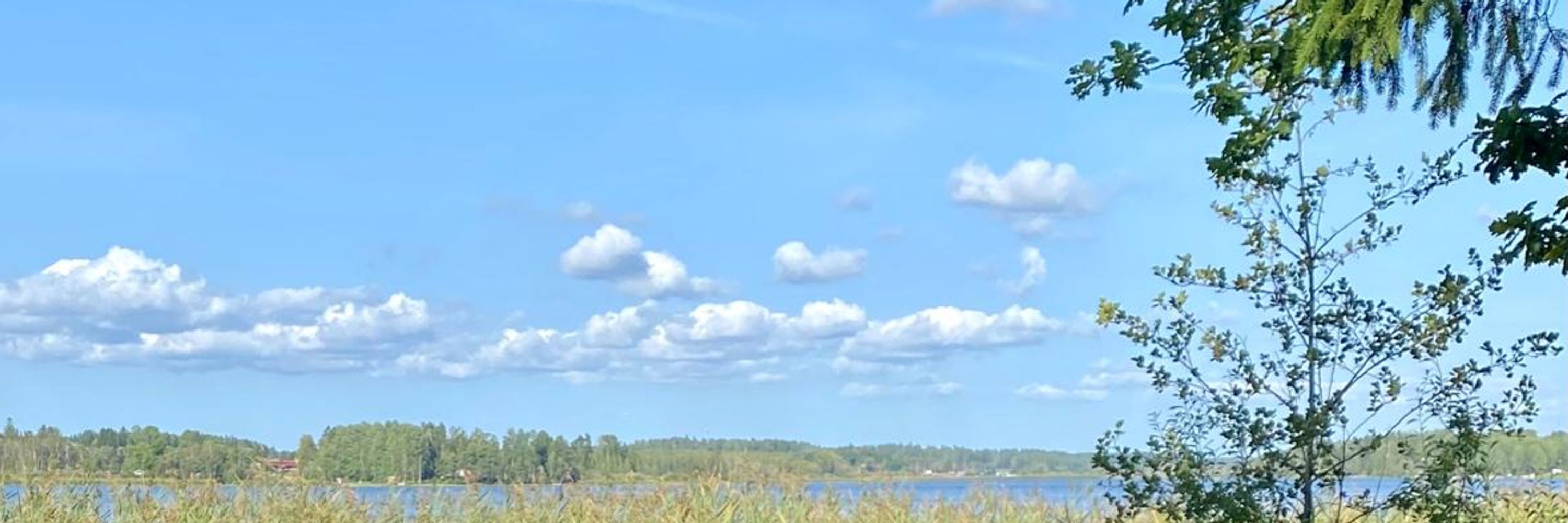 Sinikka Ylinen 🦋🌼