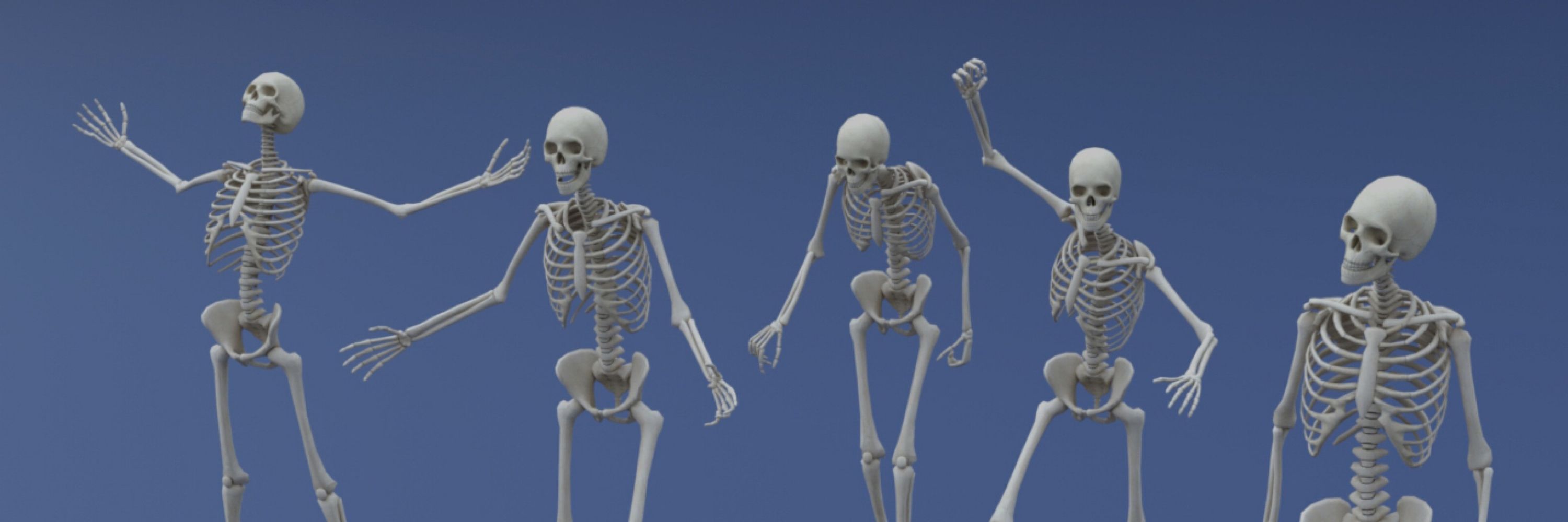 bones:3