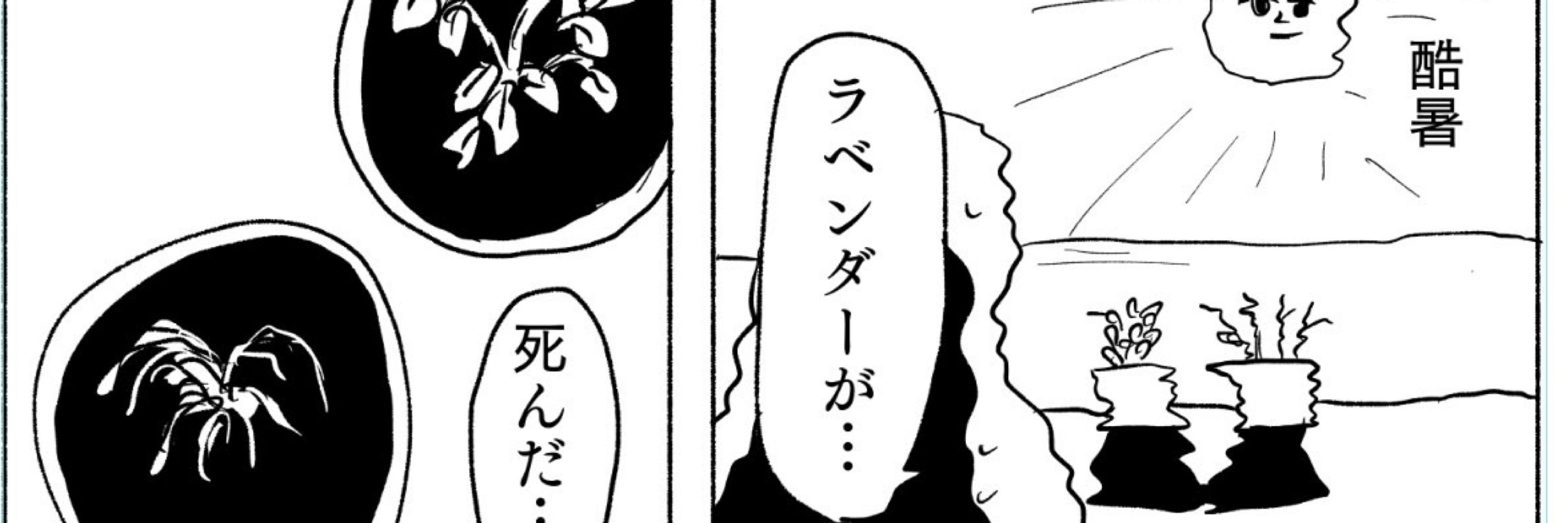 やぎにく