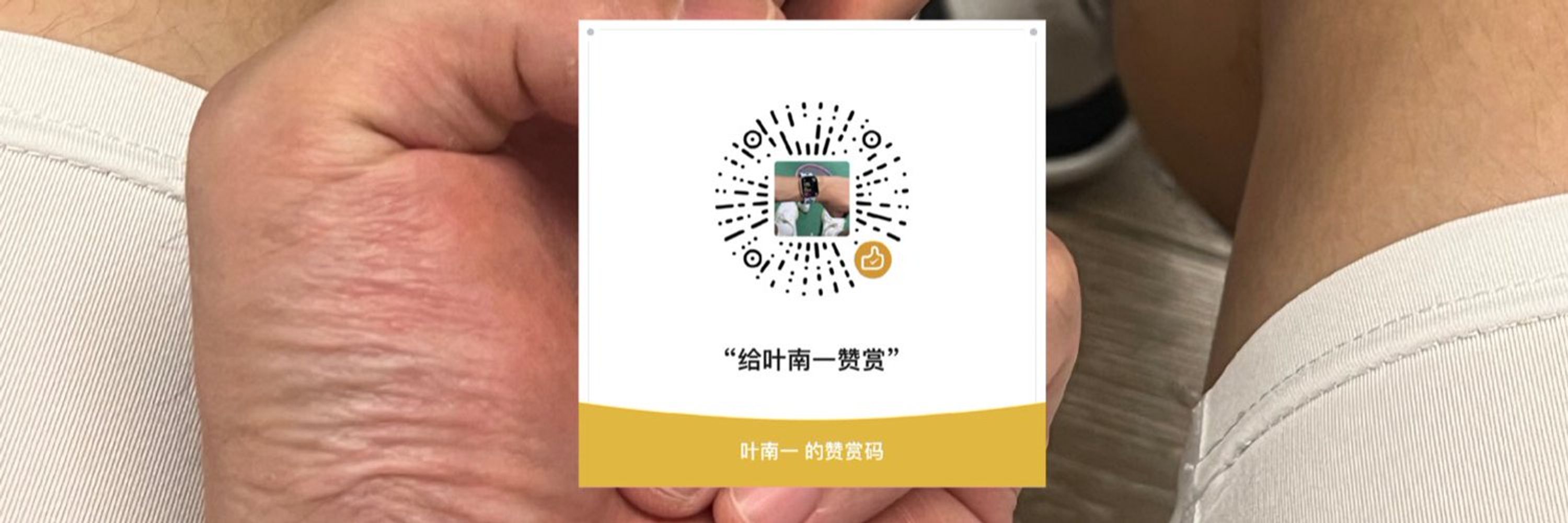 叶南一S