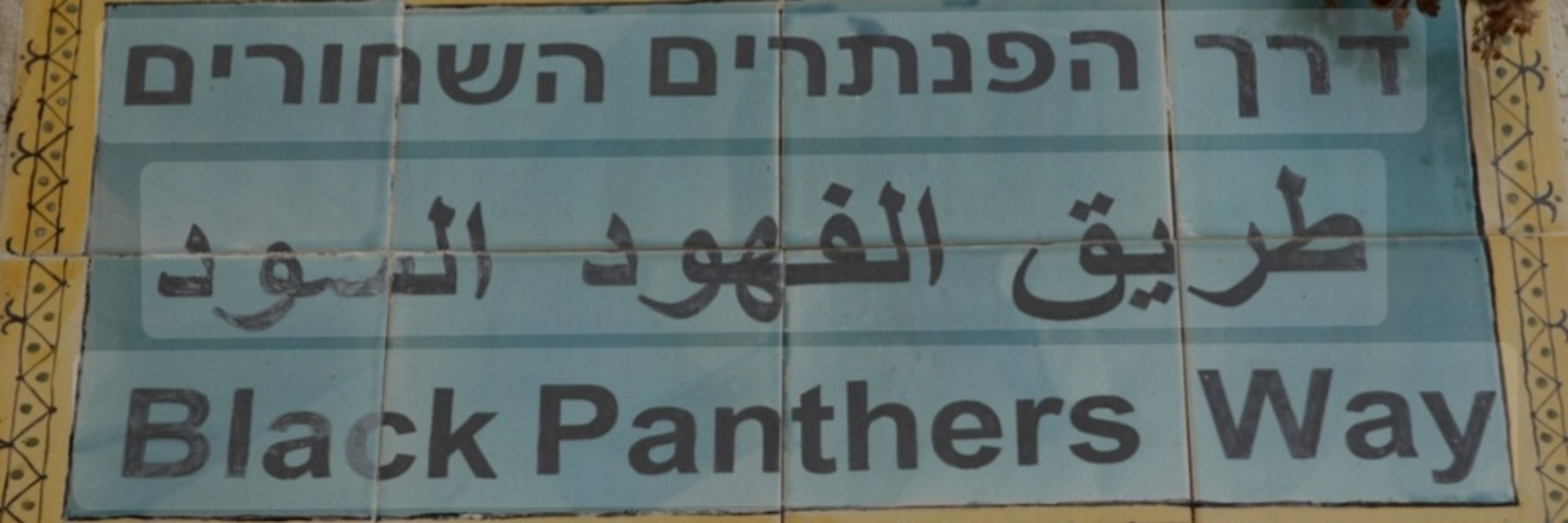  🧡רפאל (א)