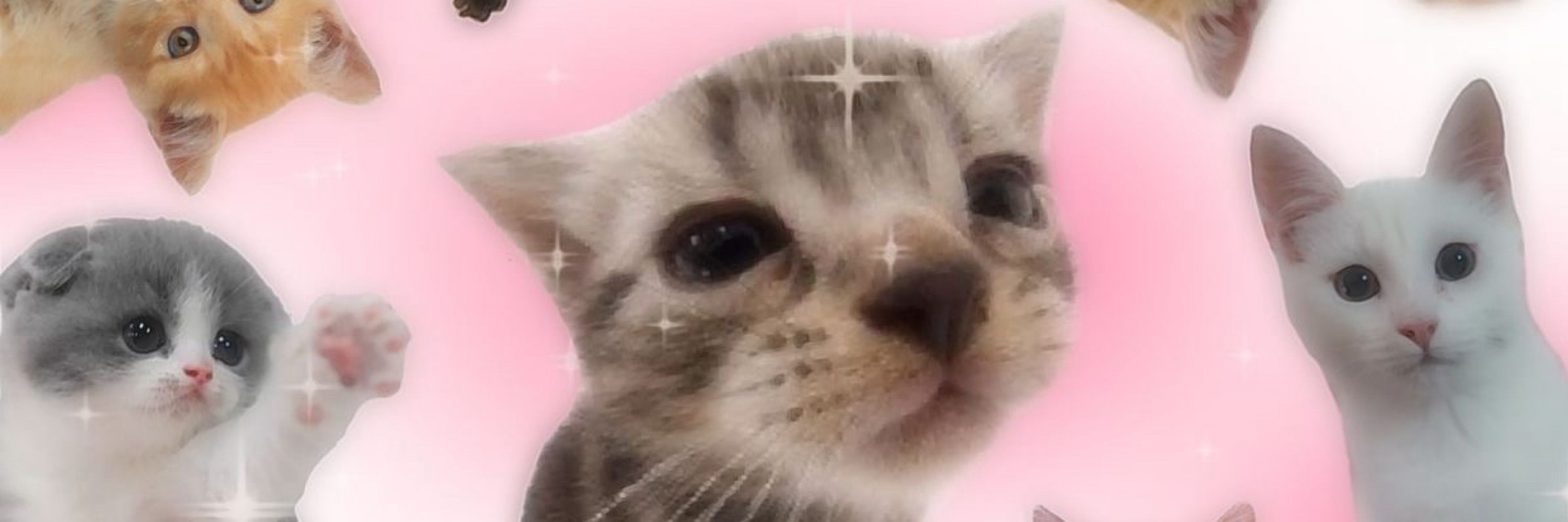 Nanakento⭐️