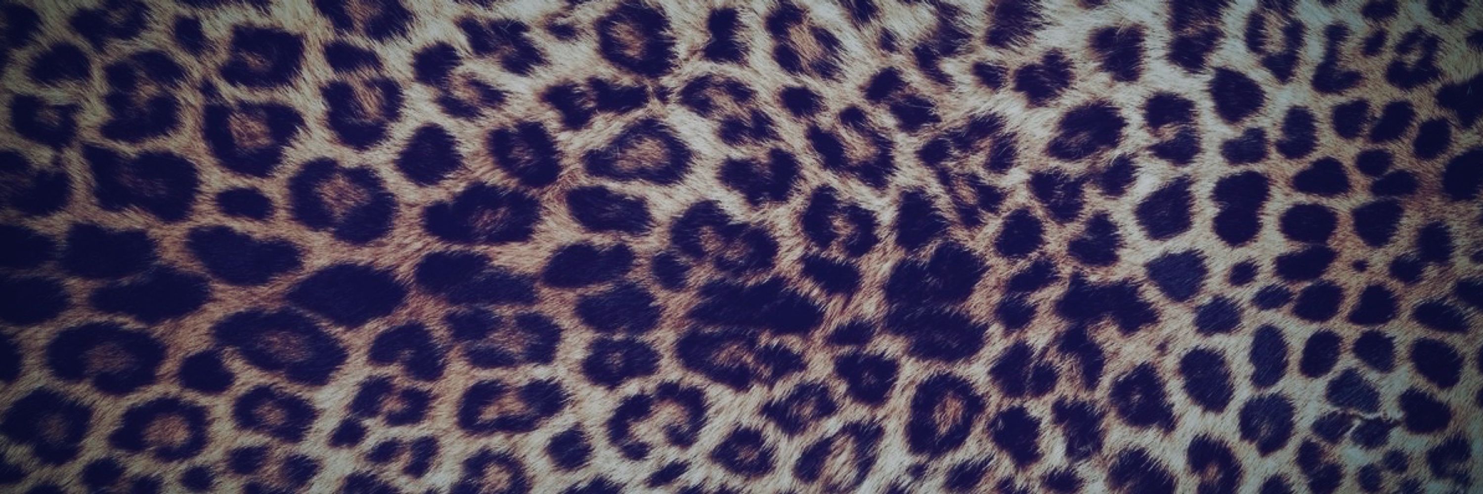 ℳ