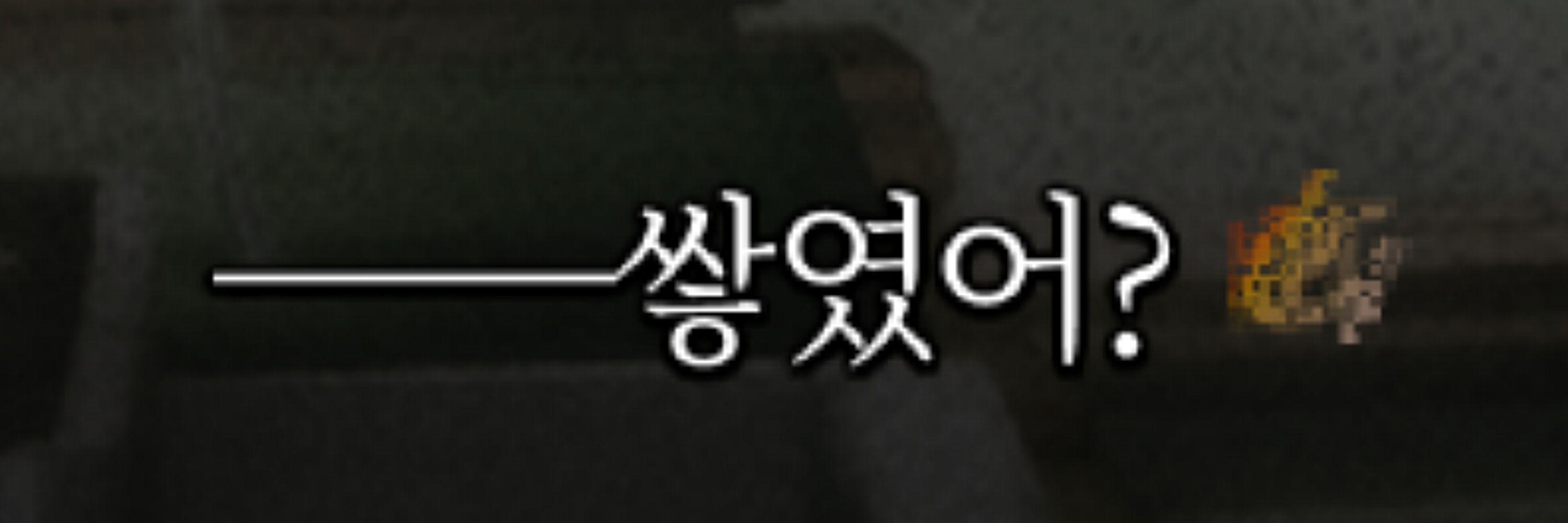 섬에 갇힌 너구리가 구슬피 울고 있다...