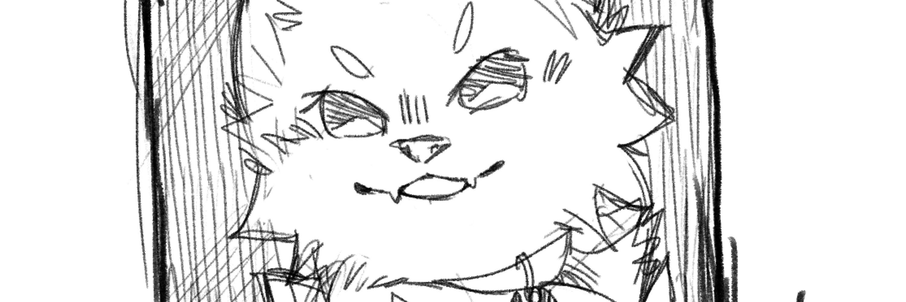 robinlune