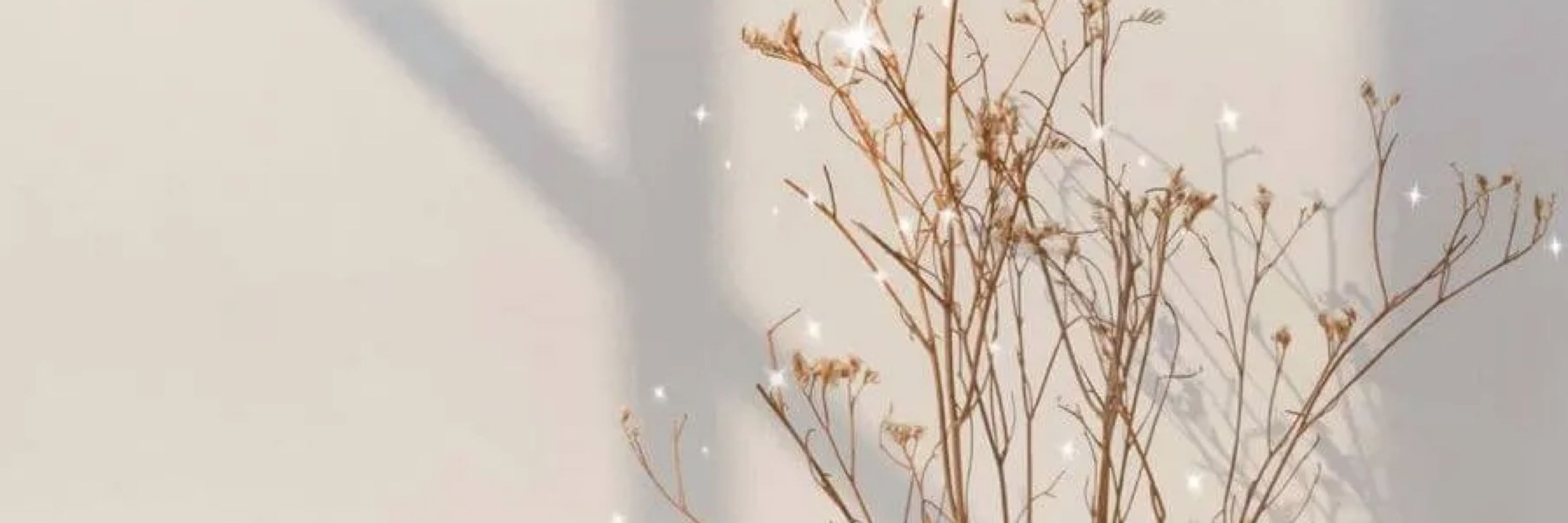 小柳