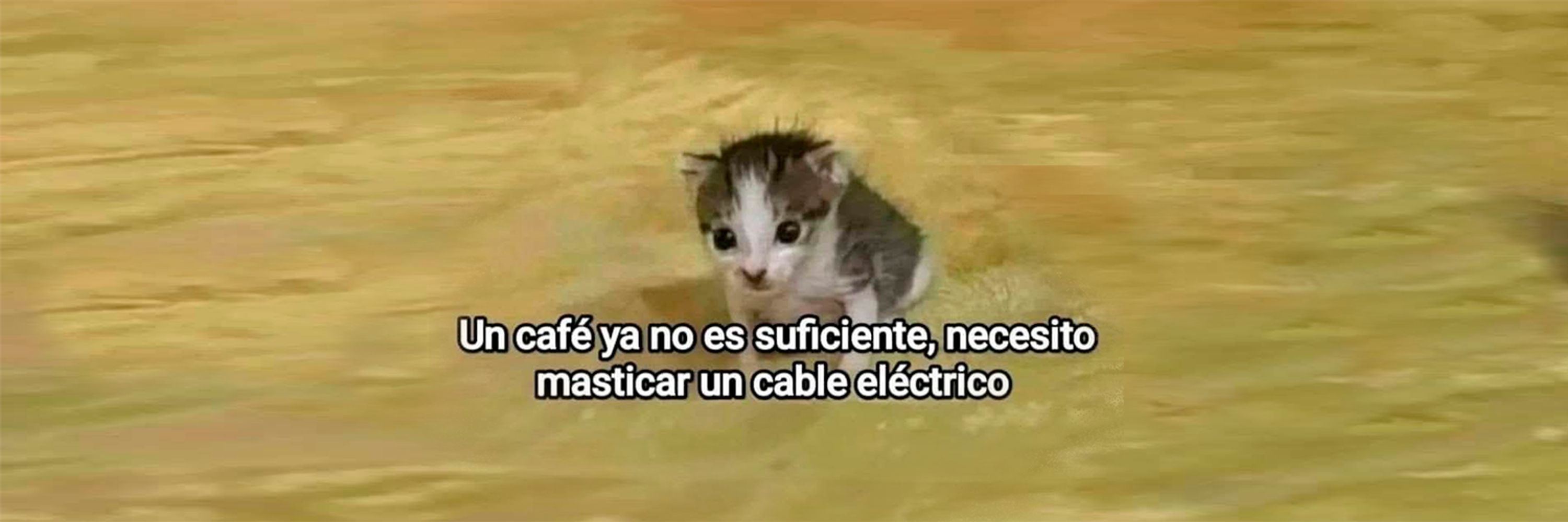 🏳️‍🌈 Patuco Tiernuco 🏳️‍🌈