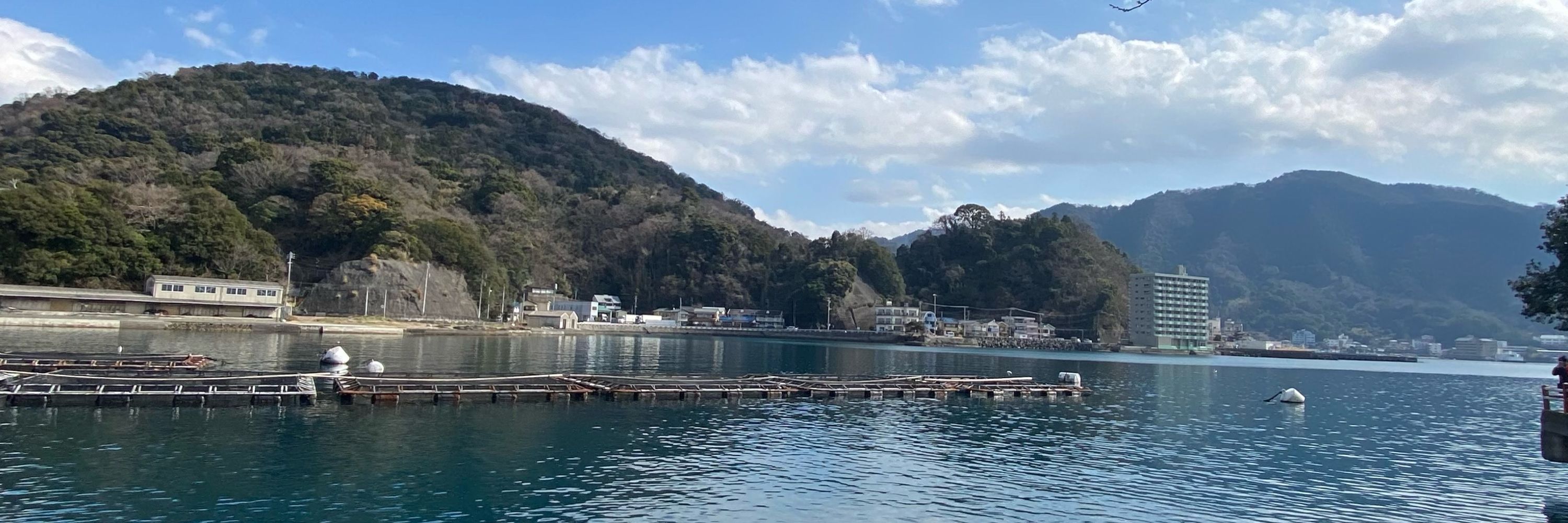 みかん飴