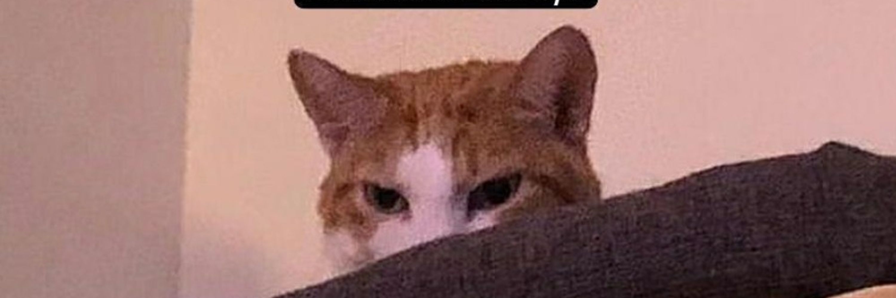 Lu.