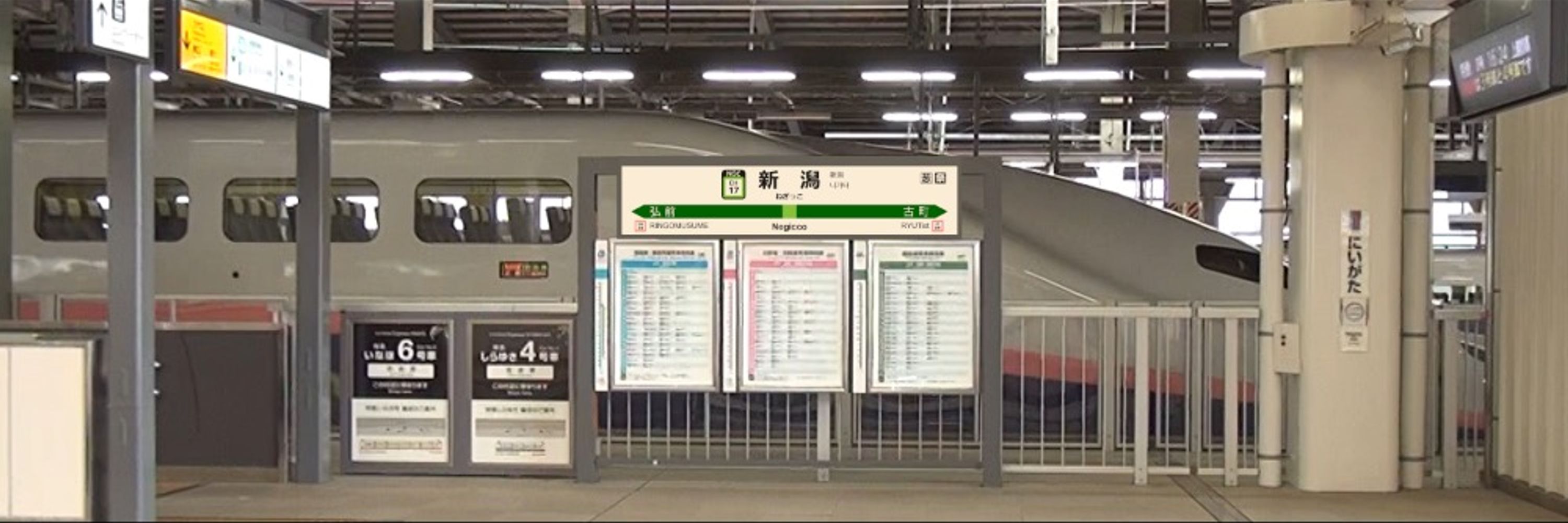 トキっこ