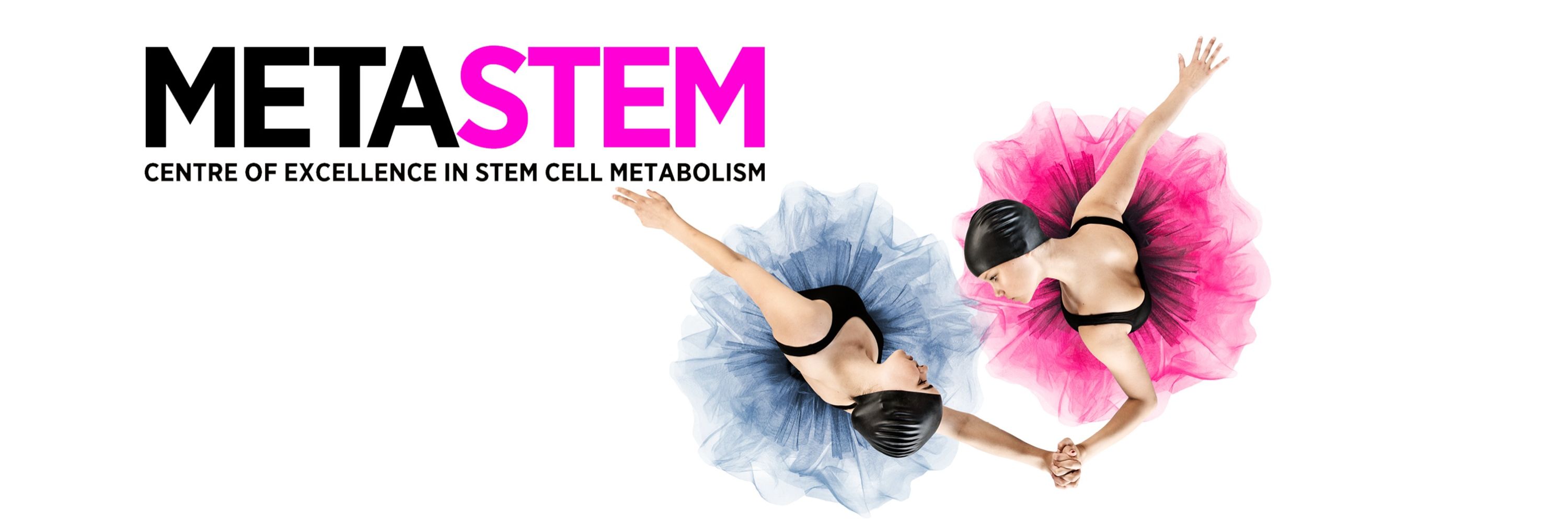MetaStem