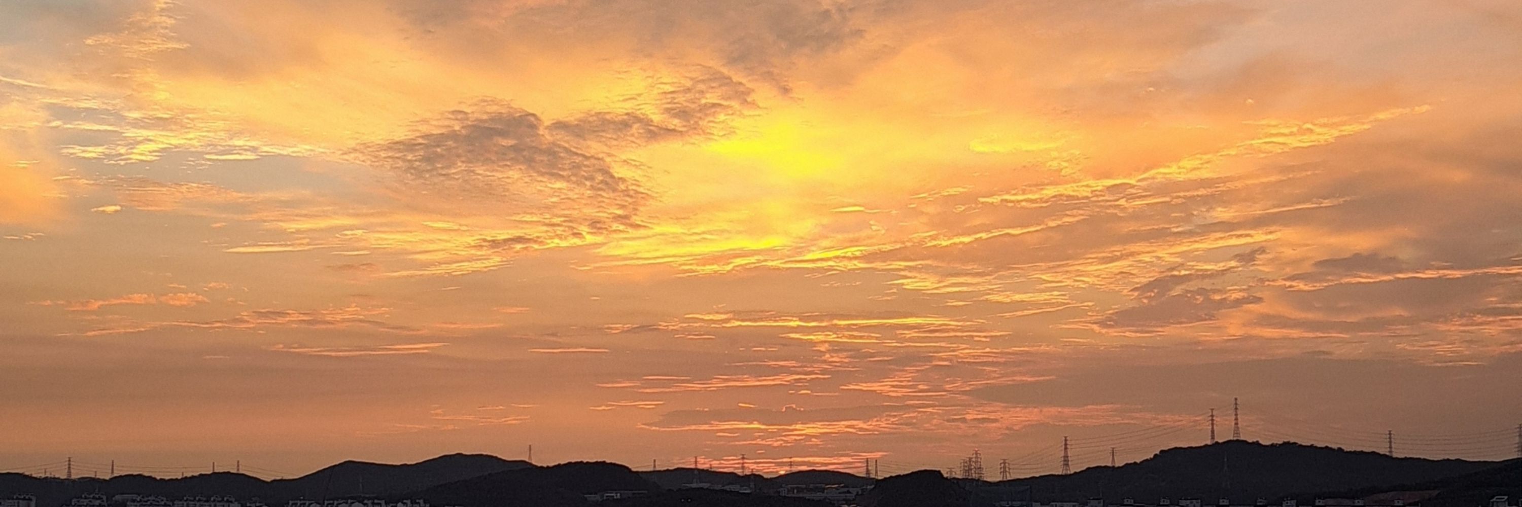차무