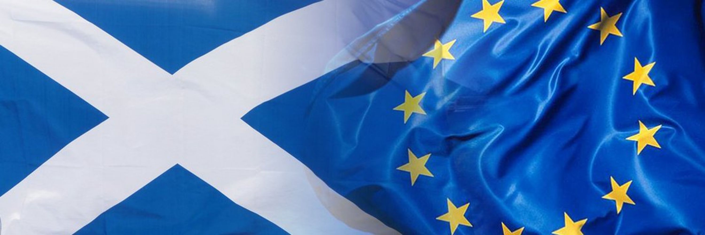 SeonaidhMc01🏴󠁧󠁢󠁳󠁣󠁴󠁿🇪🇺🇮🇪🐼