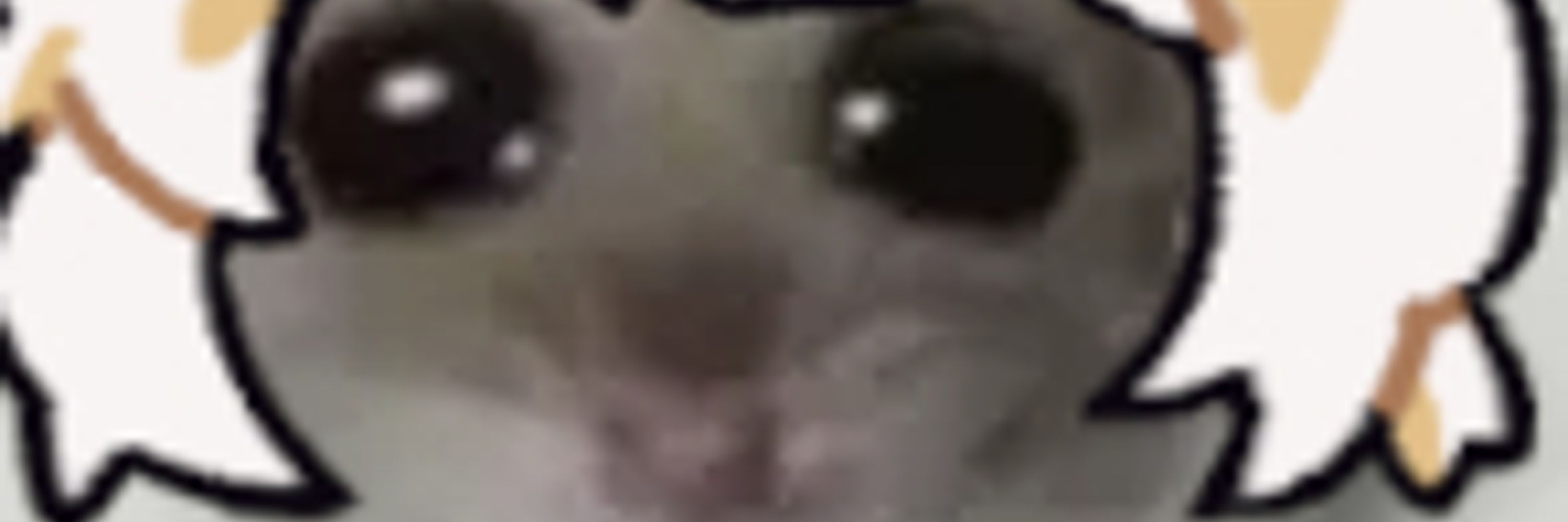 nugg