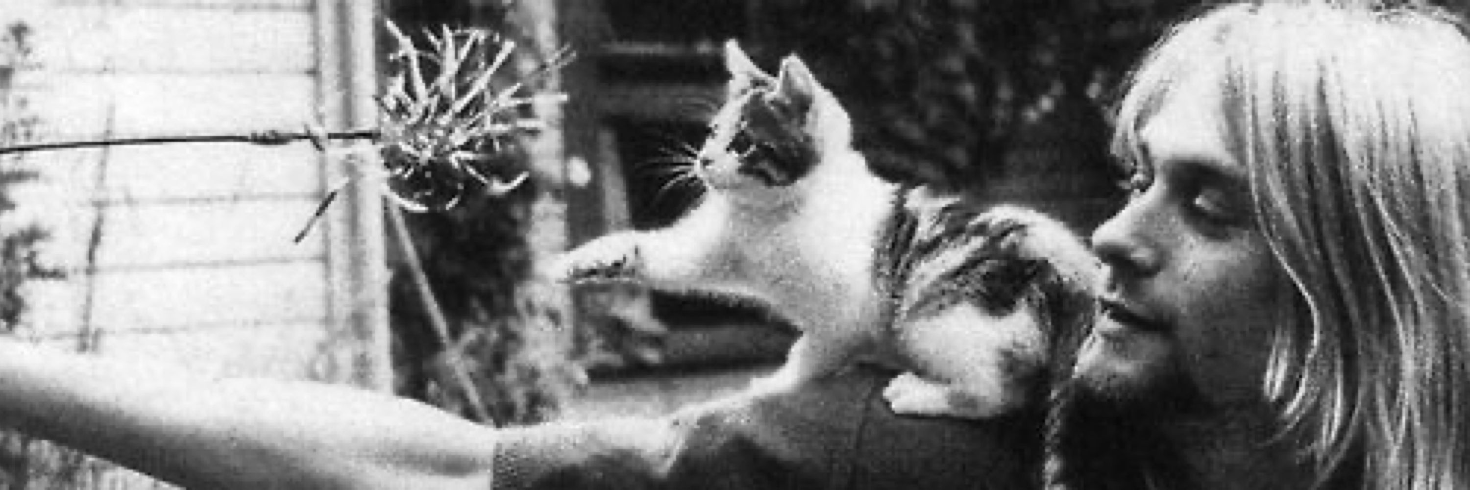Cat Leigh ☾