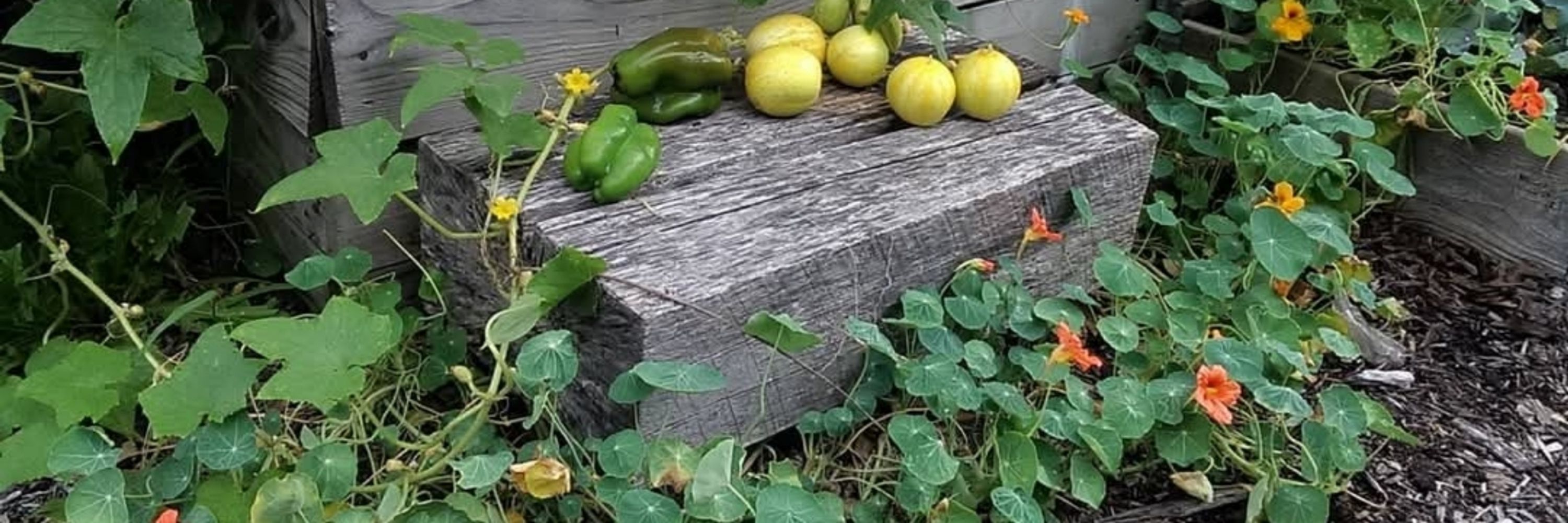 Love Community Garden