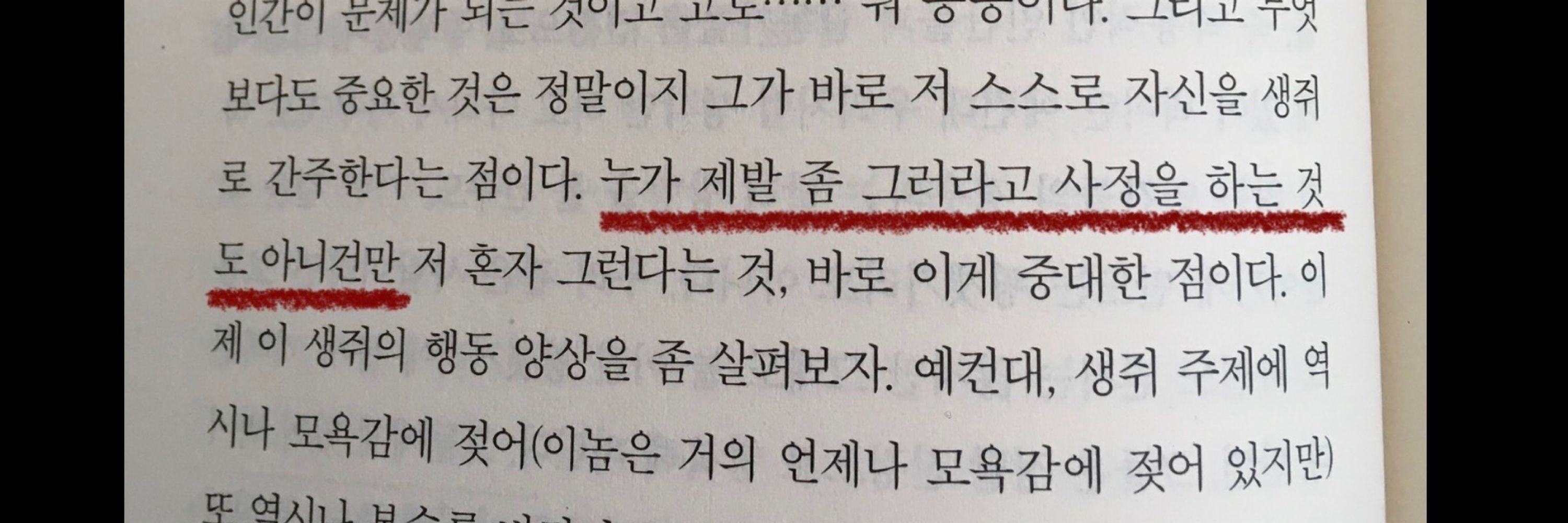 쥐끄🔒