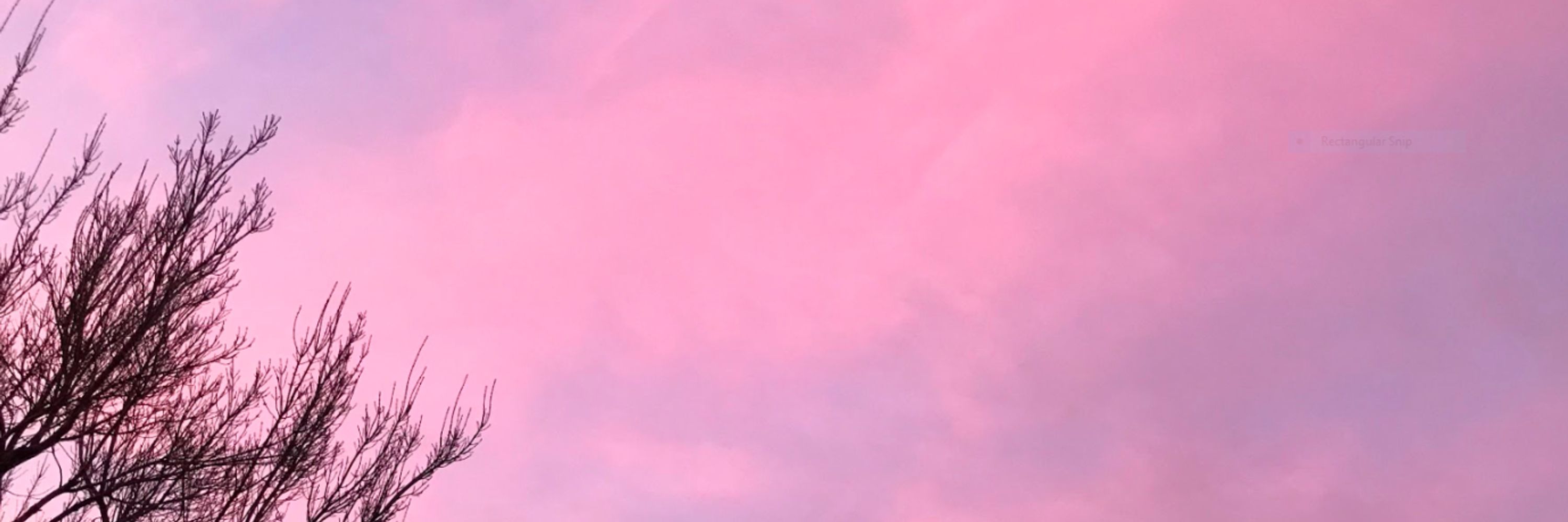Distant_Land