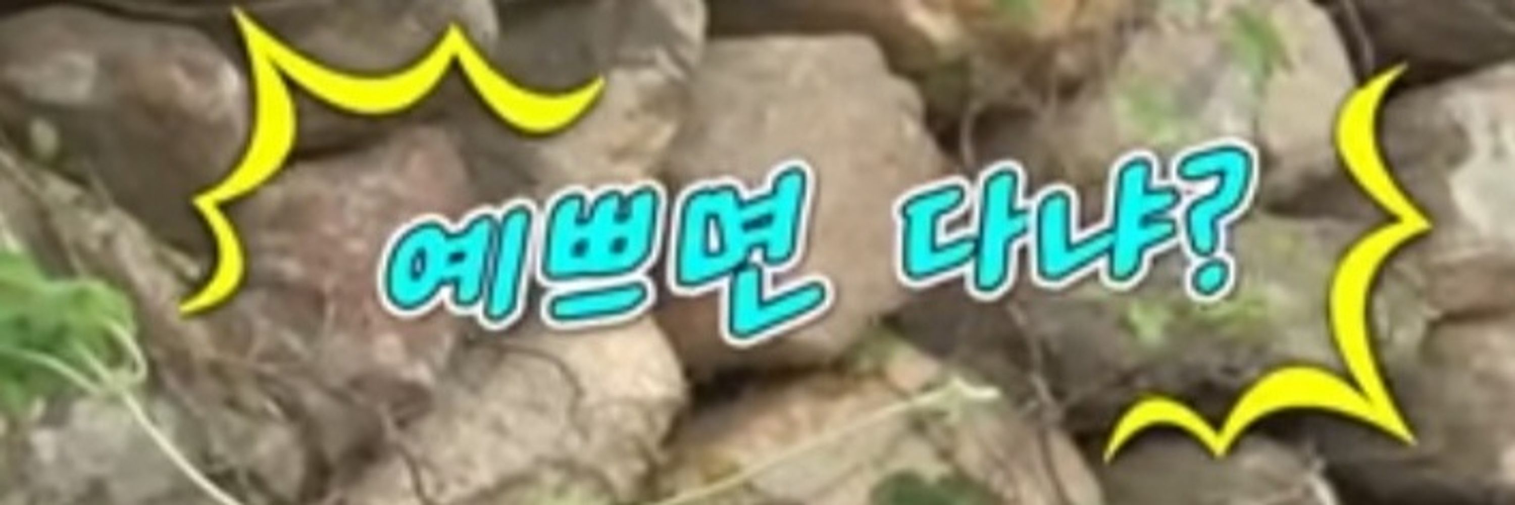 화분