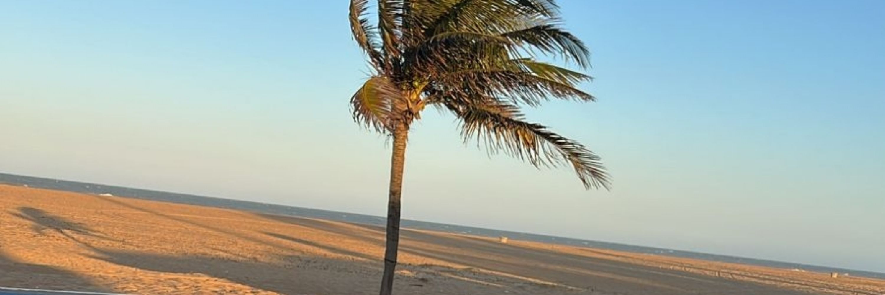 Murilo Rocha
