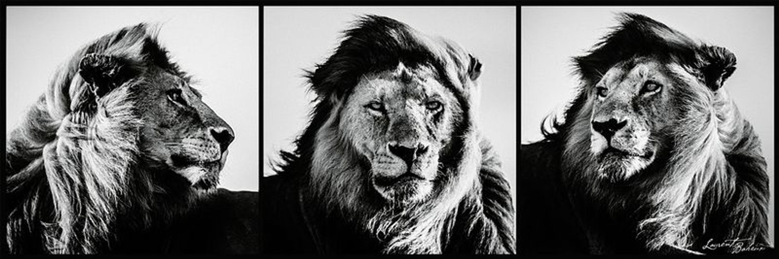 Laurent Baheux