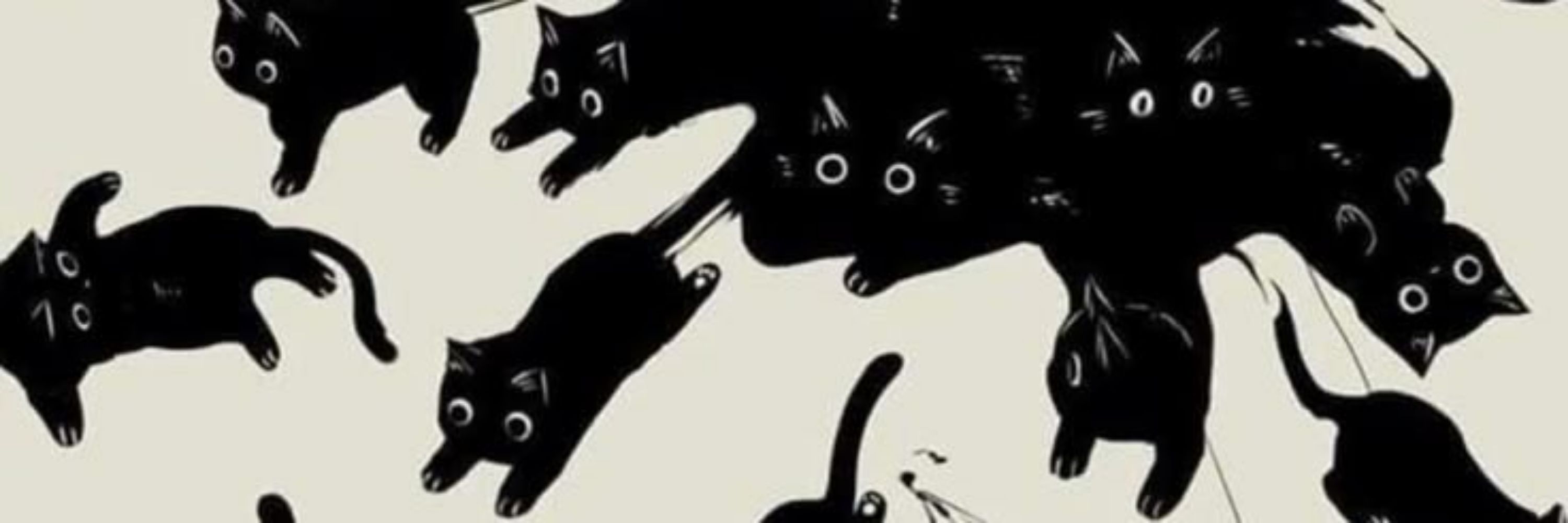 mkp