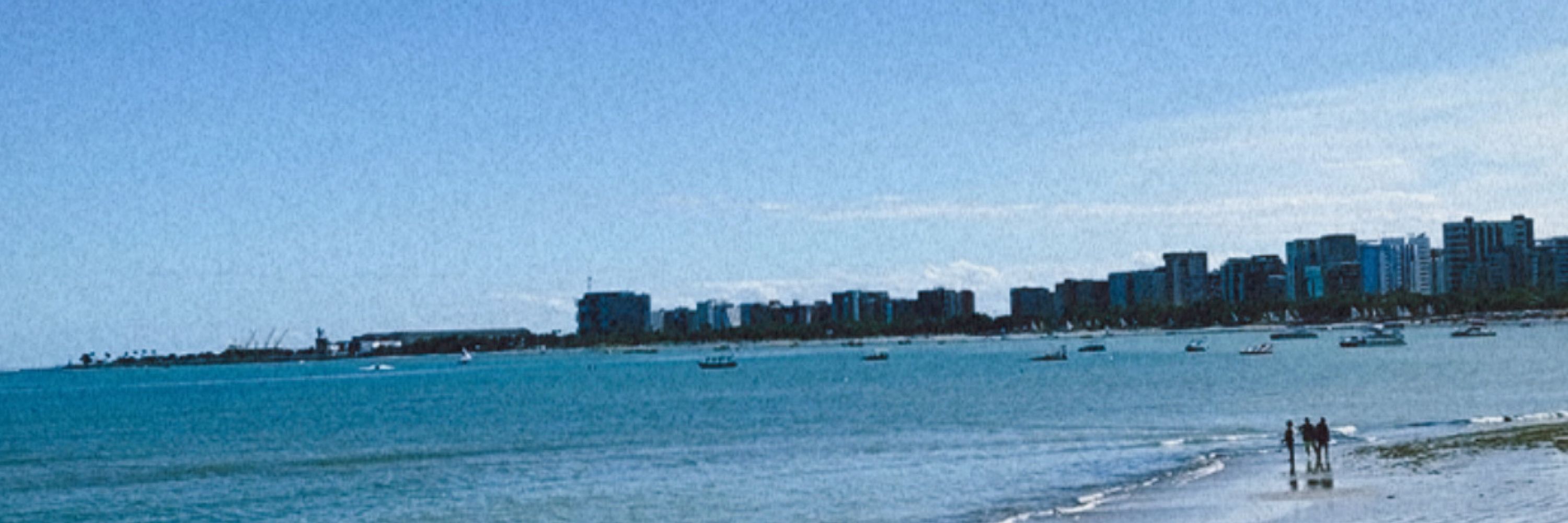 saroca🌊
